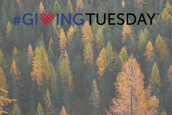 GivingTuesday Email Template + Examples