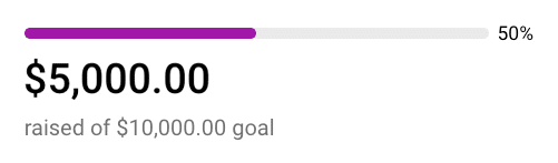 fundraising site progress bar