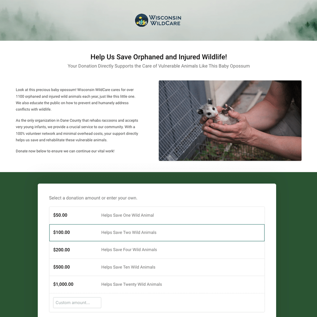 donation-landing-page-gallery-4