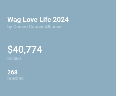 graphic showing dollar amount raised and number of donors in a campaign