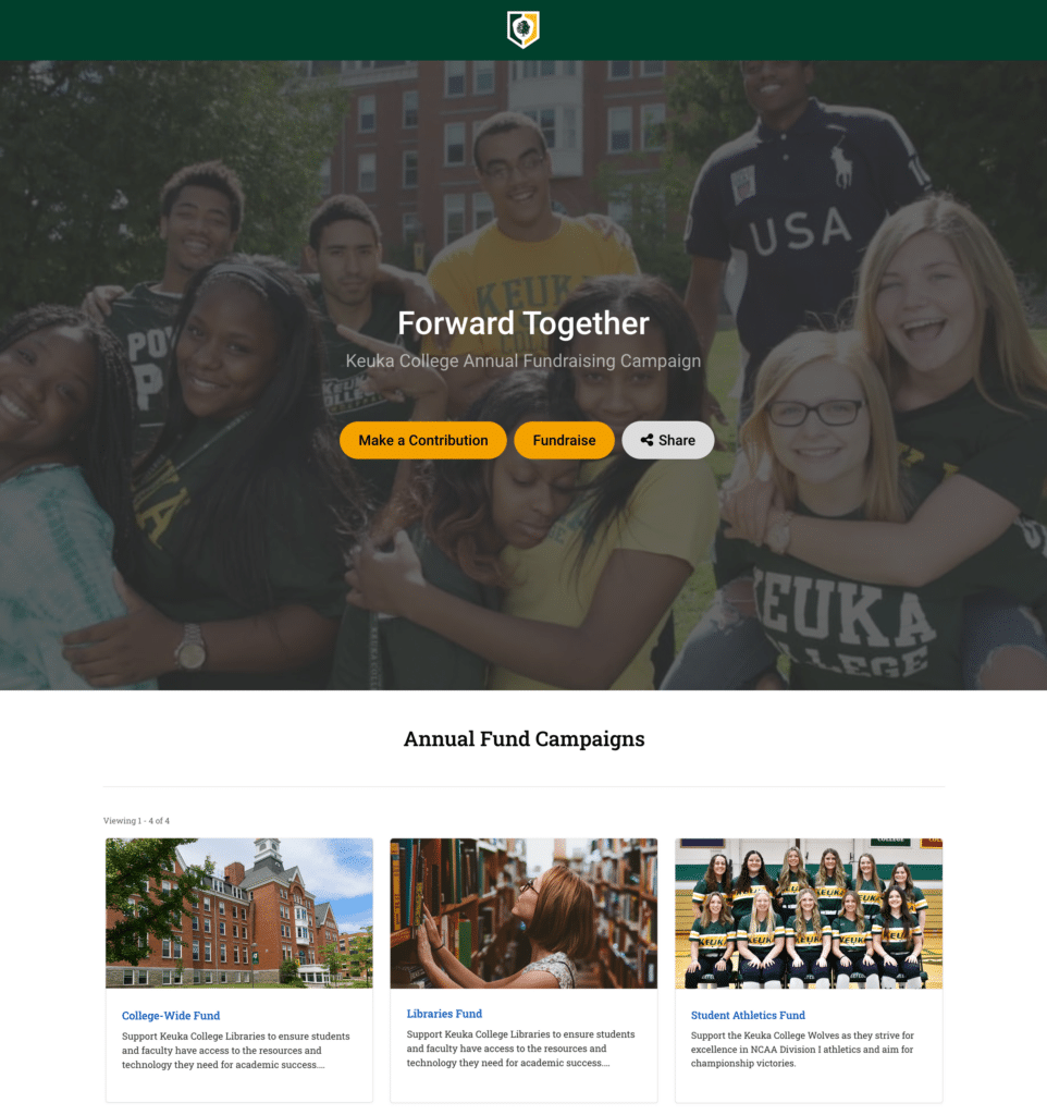 annual campaign home page design