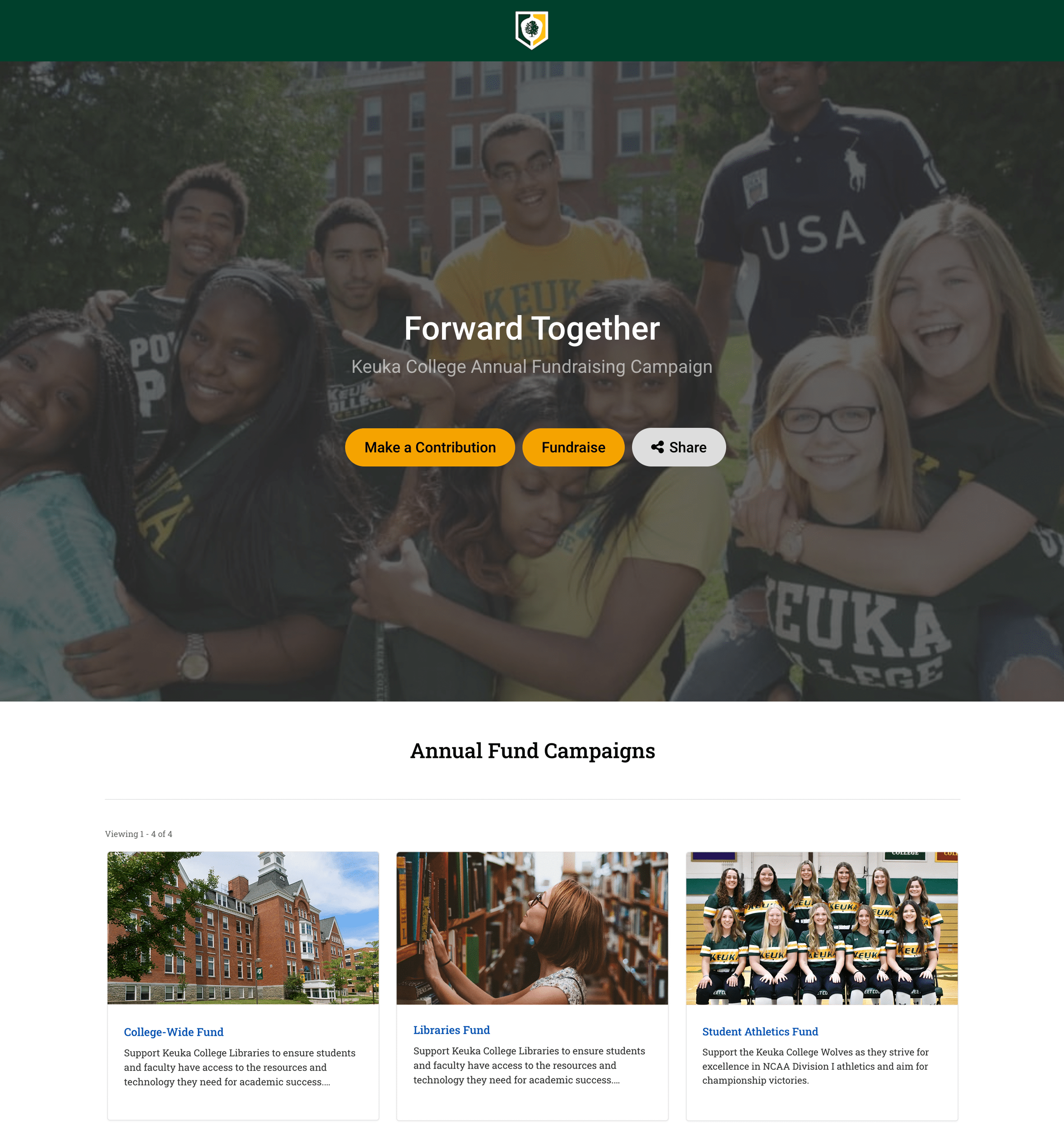 annual campaign home page design
