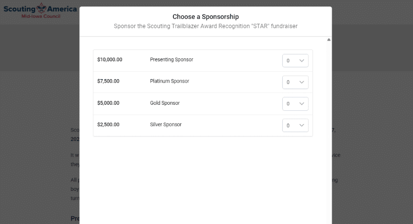 Sponsorship checkout form