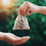 donor stewardship