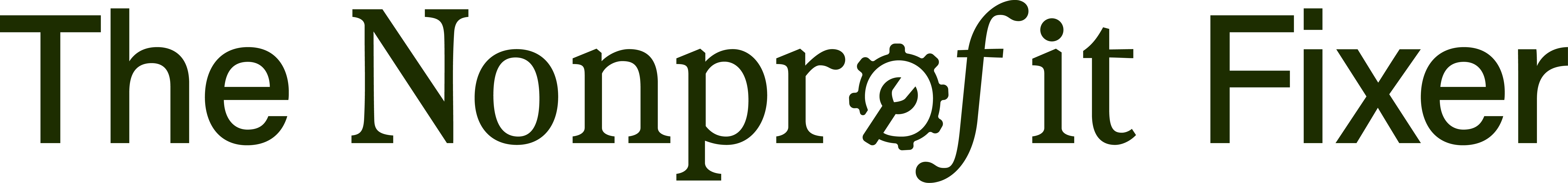 The Nonprofit Fixer